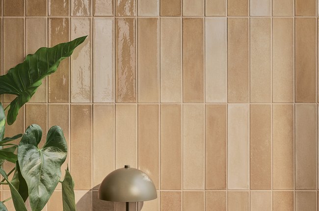 Wall with cinnamon-colored glazed tiles and table lamp with plants.